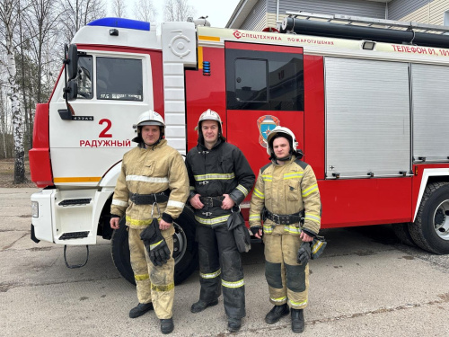 Посвятили себя борьбе с огнём